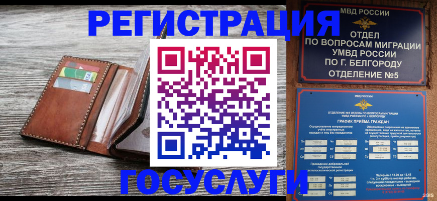временная регистрация гарантия в Никольском
